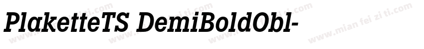 PlaketteTS DemiBoldObl字体转换